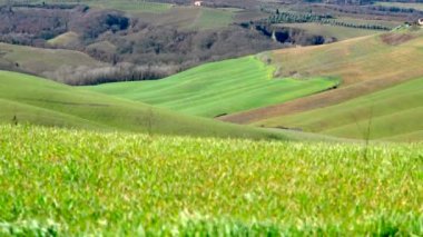 Tipik Toskana manzarası rüzgarlı bir günde Val d 'arbia' da Girit senesi, Siena, İtalya.