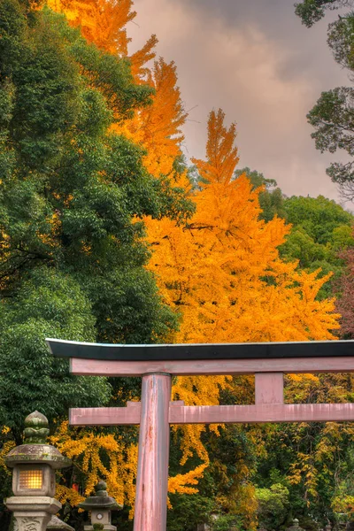 Templo de Todai-ji en otoño, Nara, Japón . —  Fotos de Stock