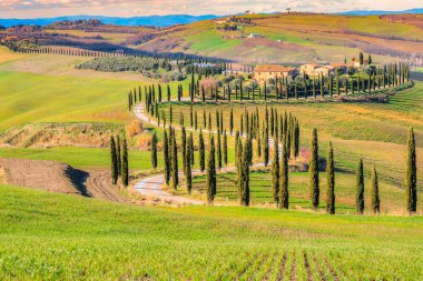 Girit Senesi, siena, Toskana, İtalya