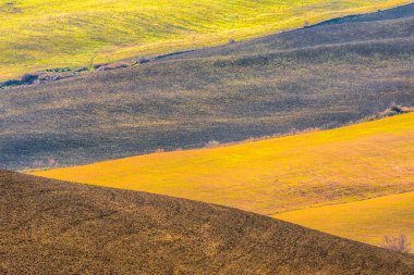 Girit Senesi, siena, Toskana, İtalya