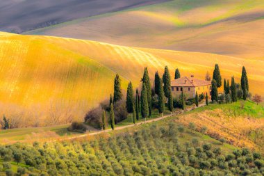 Girit Senesi, siena, Toskana, İtalya