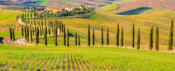 Girit Senesi, siena, Toskana, İtalya