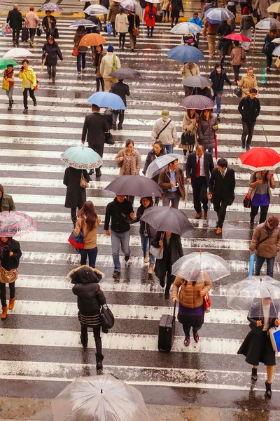 Tokyo Japan November 2014 People Walking Rain Pedestrian Crossing Tokyo — Stock Photo, Image