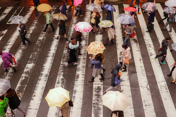 Osaka Pedestrian Crossing, Japan — Stock Photo, Image
