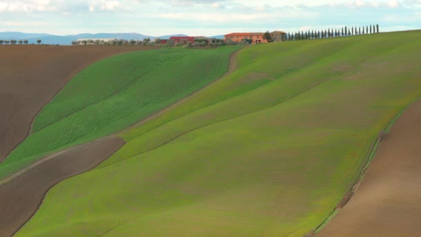 Val Arbia シエナ イタリアの典型的なトスカーナ州の風景 — ストック動画