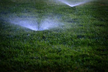 Çim çim üzerinde su püskürtme fıskiyeleri