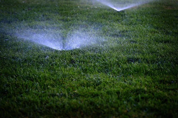 Aspersores de água de pulverização na grama do gramado — Fotografia de Stock