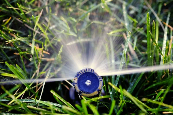 スプリンクラーが芝生の草に水を吹きかける — ストック写真