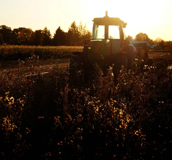 Starý traktor v poli na farmě během letního dne — Stock fotografie