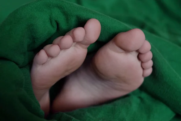 Feet Wrapped in Warm Blanket — Stock Photo, Image