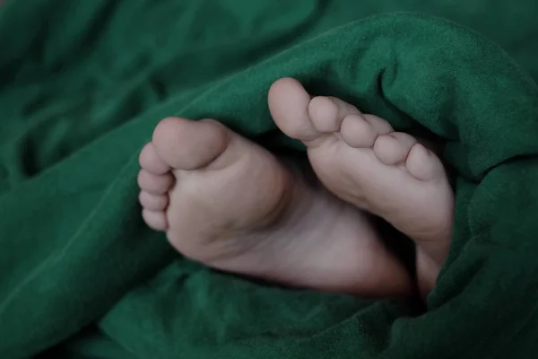 Feet Wrapped in Warm Blanket — Stock Photo, Image