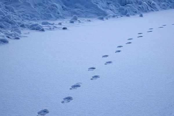 눈에서 발자국 진행에 대 한 경로 표시 — 스톡 사진