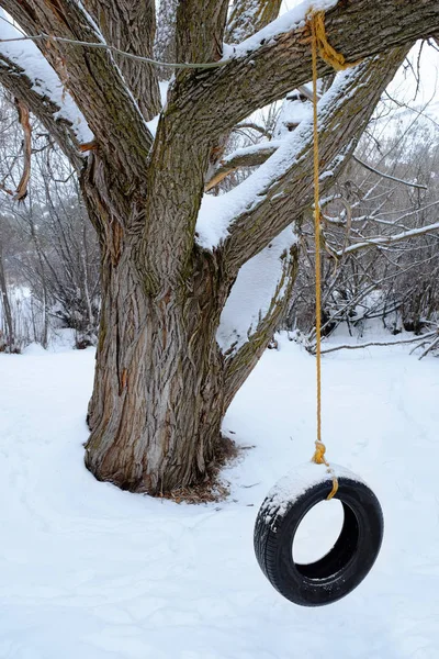 Balançoire des pneus en hiver Neige Froide — Photo