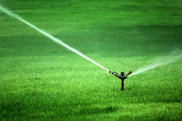 Aspersor rociando agua sobre hierba verde exuberante — Foto de Stock