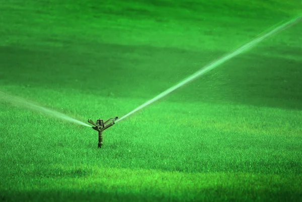 Sprinkler pulverização de água na grama verde exuberante — Fotografia de Stock