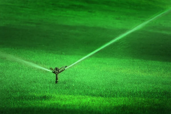 Aspersor rociando agua sobre hierba verde exuberante — Foto de Stock