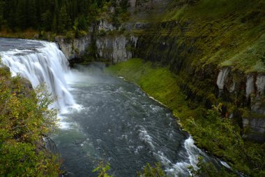 Mesa Falls şelale Kanyonu Gorge su Wilderness içinde
