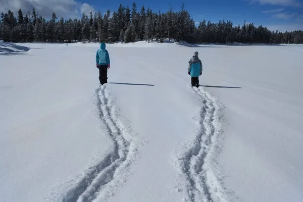 Människor går genom snön i Mountain Wilderness tallskog — Stockfoto