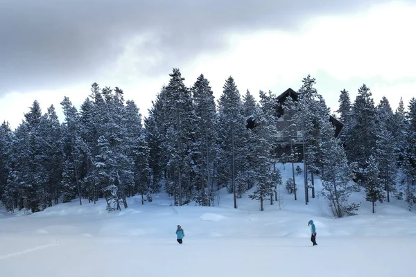 Pessoas caminhando através da neve na floresta de pinheiros da montanha — Fotografia de Stock