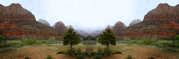 Zions Nationalpark Berge Regensturm Bäume Laub — Stockfoto