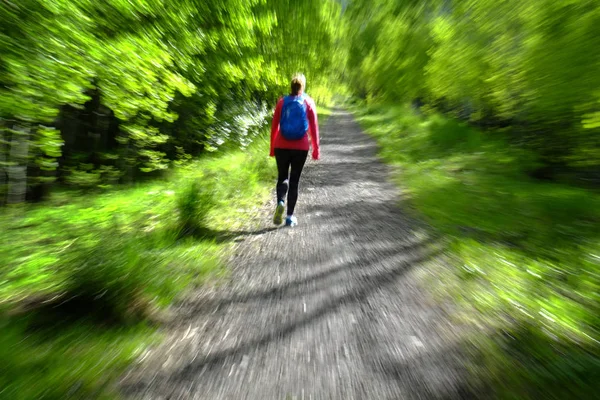 Kadın egzersiz için vahşi dağlarda İnceleme Hiking — Stok fotoğraf