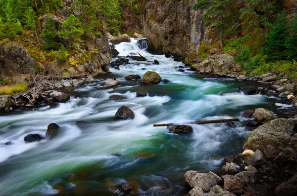 Rio Whitewater fluindo através de rochas na selva — Fotografia de Stock