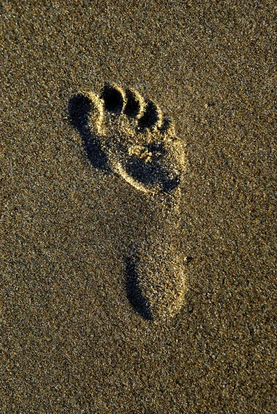 A tengerparton homokba lábnyom — Stock Fotó