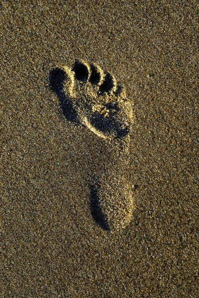 Fußabdruck im Sand am Strand — Stockfoto