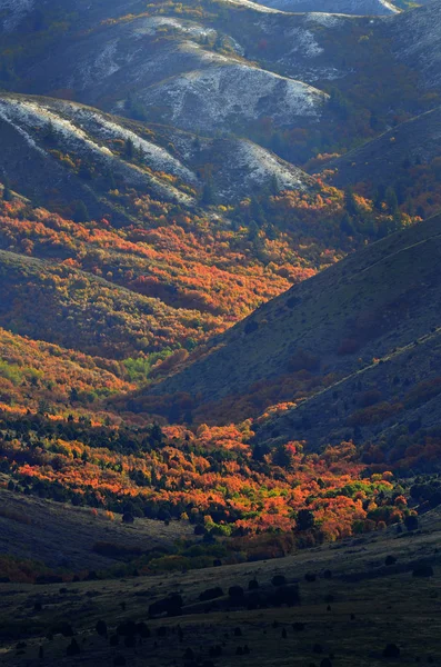 Montagna in autunno con foglie rosse — Foto Stock