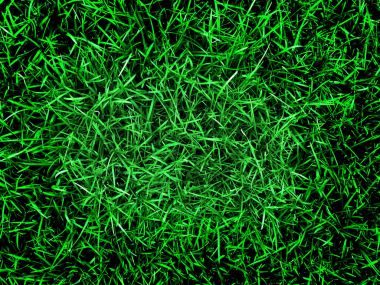 Bir ev için bir çim gür yeşil çim