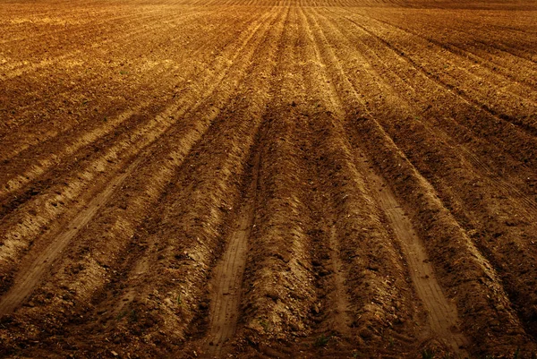 Campo agricolo appena arato per l'agricoltura — Foto Stock