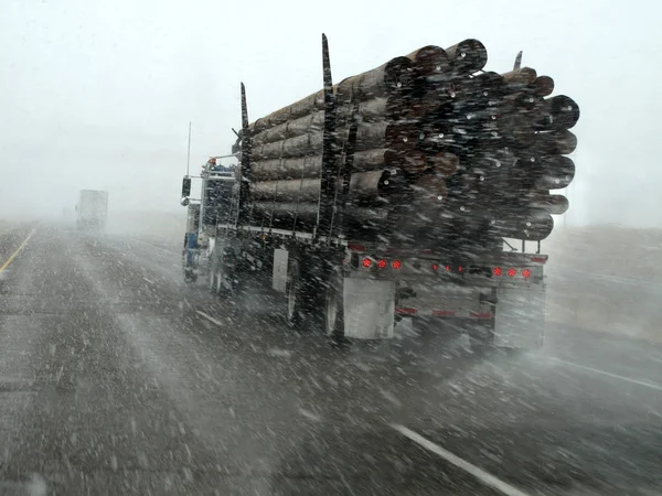 Camión transportando madera conduciendo en tormenta de nieve — Foto de Stock