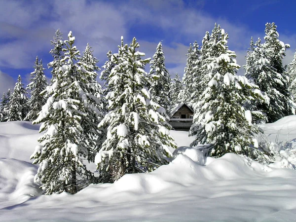 Hütte im Winter in der Wildnis des Waldes — Stockfoto