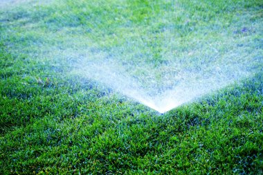 Yemyeşil yeşil çimenlerin üzerine su püskürtme fıskiyeleri