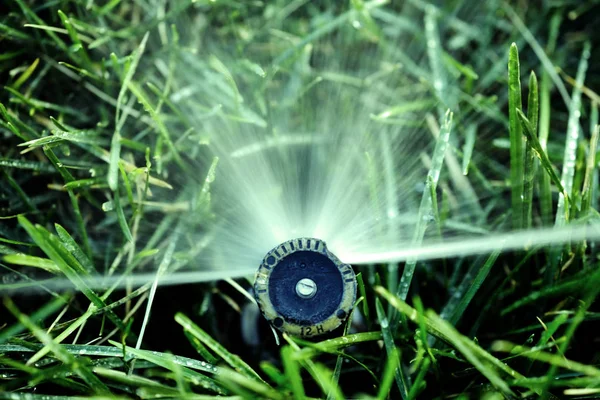 Sprinkler som sprutar vatten på frodiga gröna gräset — Stockfoto