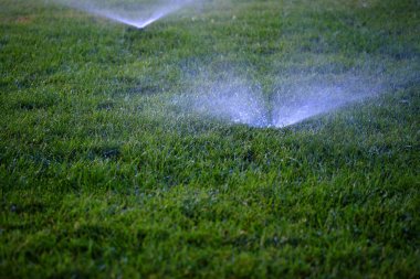 Yemyeşil yeşil çimenlerin üzerine su püskürtme fıskiyeleri