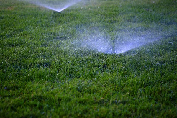 Aspersores Pulverización de agua sobre hierba verde exuberante —  Fotos de Stock