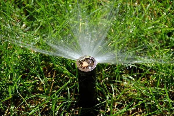 Aspersor de pulverización de agua en exuberante patio de césped verde — Foto de Stock