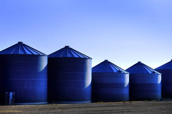 Silos de grano en la granja para la agricultura y el almacenamiento de trigo —  Fotos de Stock