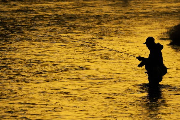 Adam Flyfishing Balıkçılık nehir silüeti altın güneş ışığı — Stok fotoğraf