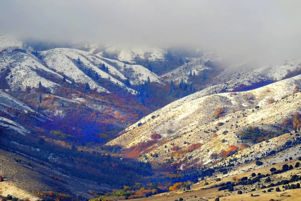 Vinter Snowy Mountains med hösten hösten röda lönnar — Stockfoto