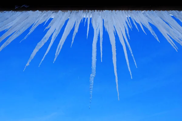 Icicles colgando de la azotea de casa derretida goteo de hielo — Foto de Stock