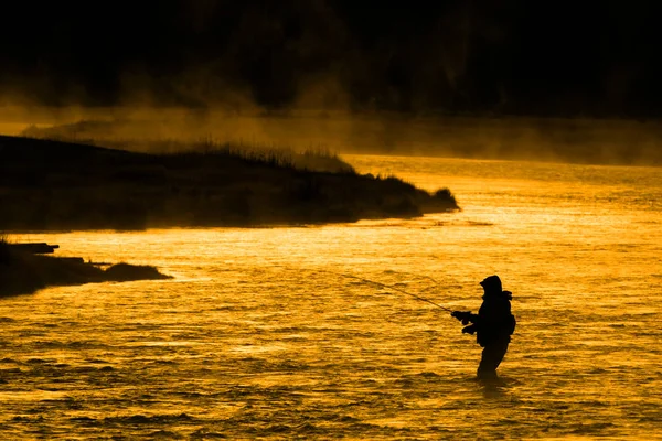 河金色阳光下的人 Flyfishing 的剪影 — 图库照片