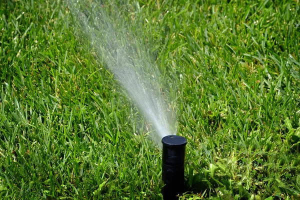 Aspersor de pulverización de agua en exuberante patio de césped verde —  Fotos de Stock