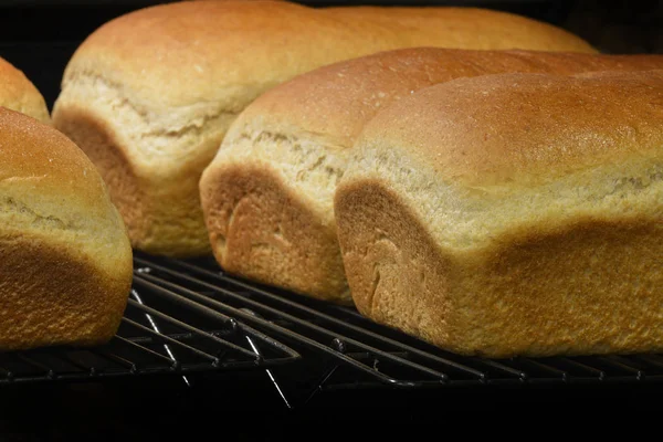 Fresh Baked Homemade Bread Cooking Off on Racks