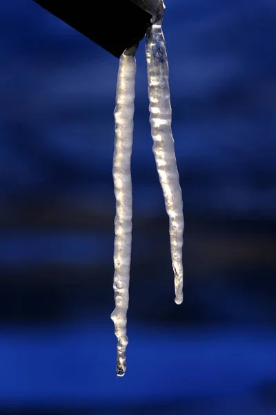 Icicles Hanging on Wood Frozen During Winter Cold Freezing — Stock Photo, Image