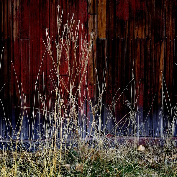Gammal lada i fältet sent hösten hösten bruna gräset klarat röd — Stockfoto