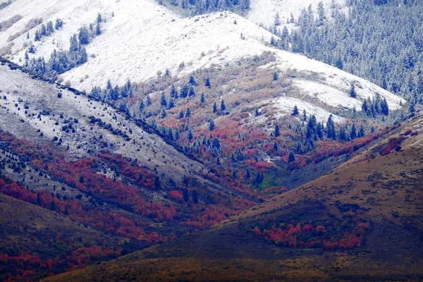 Paesaggio Montano Tardo Autunno Con Colori Degli Alberi Autunnali Prima — Foto Stock