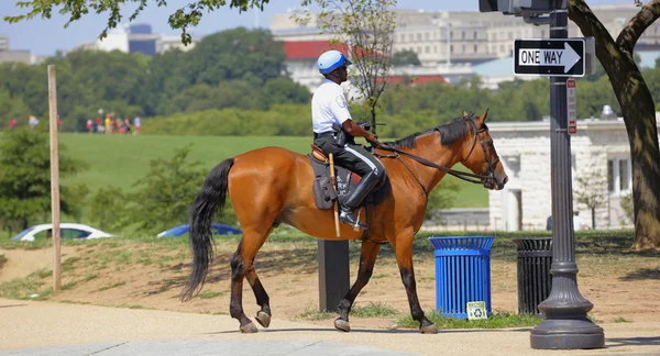 Полиция на лошади Вашингтон Лицензионные Стоковые Фото