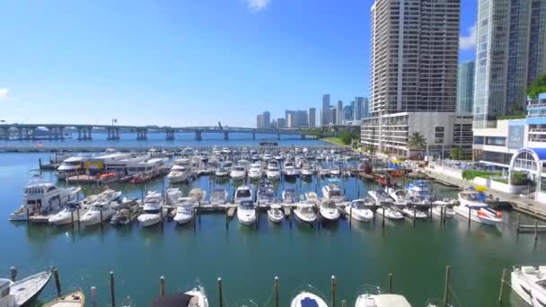 Havet Isle Marina Edgewater Miami — Stockvideo